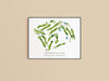 Aronimink Golf Club Print