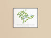 The Country Club of Birmingham Golf Print - West