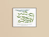 Peninsula State Park Golf Course Print