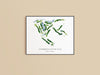 Stonebriar Country Club Golf Print
