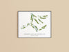 Woodmont Golf & Country Club Print