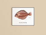 Texas Slam Fish Trio Print Set
